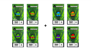 Jasonverse "Four Turtles" Pin Super Set [4 Common + 4 Chase] - 7BAP Exclusive