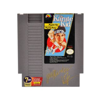Macchio & Zabka - The Karate Kid NES