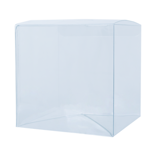 An Afternoon with Eevee Funko PopShield Protectors