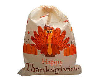 Stuffed Turkey Bag
