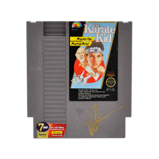 William Zabka - The Karate Kid NES