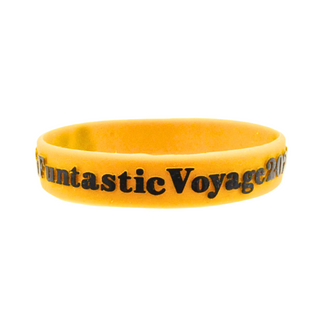 * Funko 2024 Freddy's Fantastic Voyage Silicone Wristband
