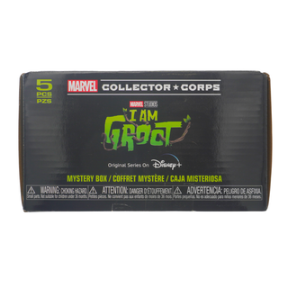 * Funko x Marvel Collector Corps Box I am Groot (Shirt Size L, Unsealed)