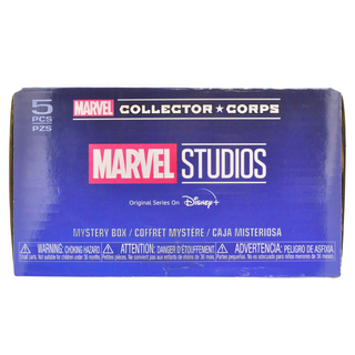 * Marvel Collector Corps Box (Marvel Studios / Disney Plus, Unsealed, Shirt Size L)